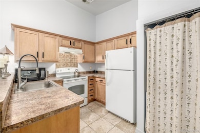 919 S Dawson Way unit 17, Aurora, CO 80012 - photo 5