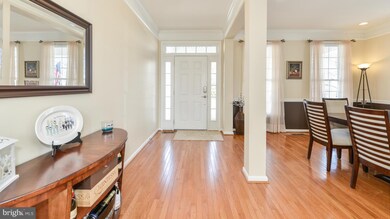 21598 Merion St, Ashburn, VA 20147 - photo 4