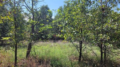 TBD Lot 1 Phillips Dr, Azle, TX 76020 - photo 4