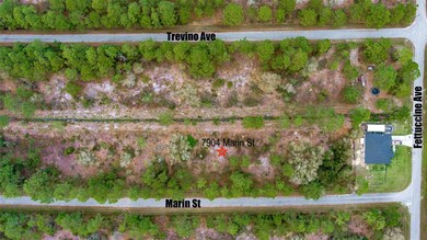 7904 Marin St, Sebring, FL 33872 - photo 7