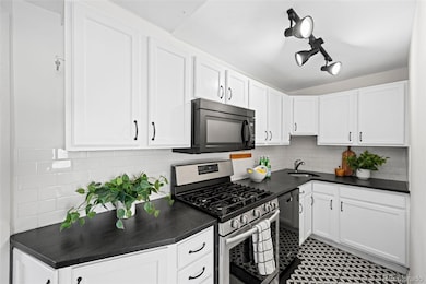 1100 E 16th Ave unit 3, Denver, CO 80218 - photo 6