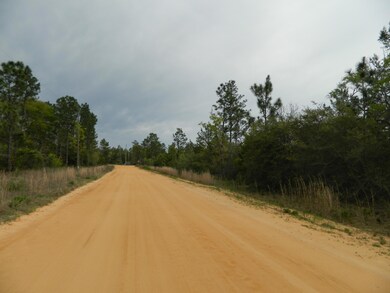 View of Road.JPG