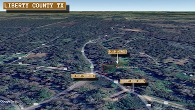 County Road 2506, Liberty, TX 77575 - photo 6