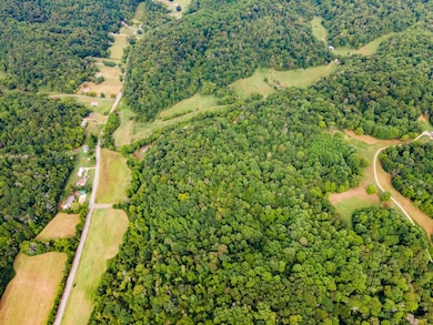 3045 Robert Skelley Rd, Columbia, TN 38401 - photo 3