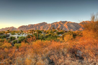 Mountain Views