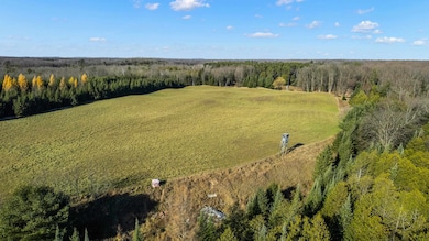 Lot 1 & 2 Maple Ln, Grant, WI 54486 - photo 3