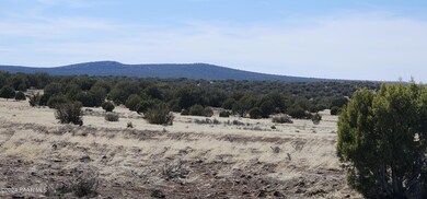 639 Westwood Ranch, Ash Fork, AZ 86320 - photo 4