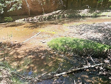 2137 N Flowing Springs Rd, Payson, AZ 85541 - photo 6