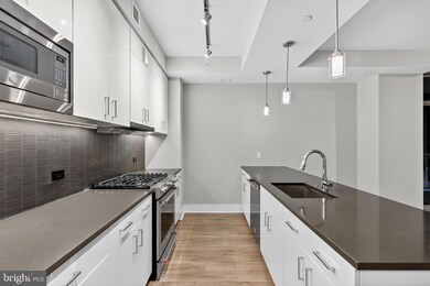 Peninsula 88 unit 509, Washington, DC 20024 - photo 6