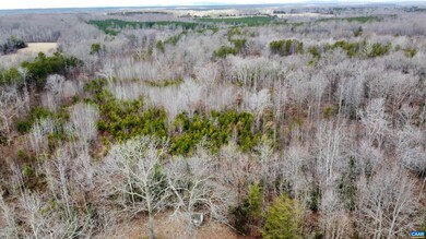 1979 Chalklevel Rd, Louisa, VA 23093 - photo 6