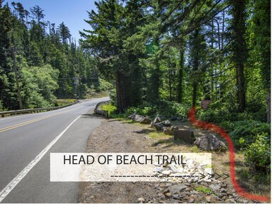 trail to beach head of trail
