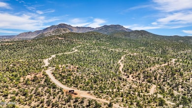 2-Aerial (1)