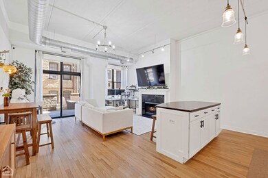 Cinema Lofts unit 207, Chicago, IL 60657 - photo 3