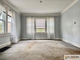 23 Plainfield Ave, Piscataway, NJ 08854 - photo 5