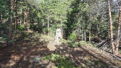 33476 La Plata Ln, Pine Junction Area, CO 80470 - photo 5