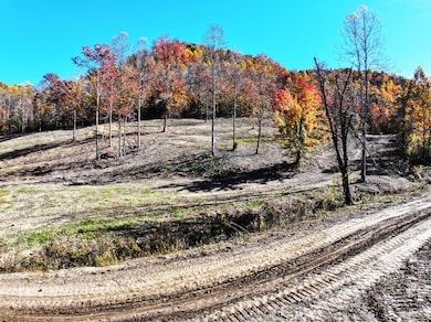 9996 Little Doe Creek Rd, Irvine, KY 40336 - photo 4