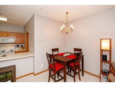 1010 108th Ln NW, Coon Rapids, MN 55433 - photo 5