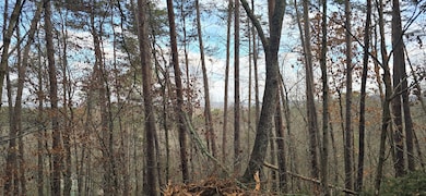 Tract 30 Gillespie Rd SE, Fairmount, GA 30139 - photo 4