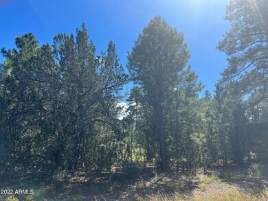 2899 Lejo Rd.
