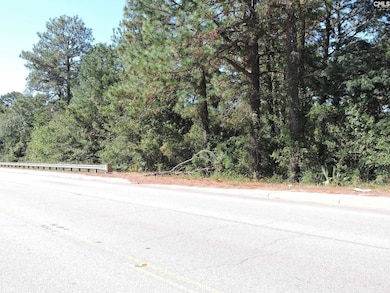 1250 S Lake Dr, Lexington, SC 29073 - photo 3