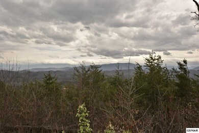 Additional View 3