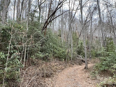 00 Collettsville Rd unit 9, Collettsville, NC 28611 - photo 5