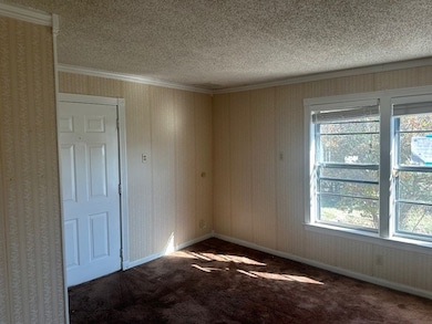 808 Flamingo Rd, Granbury, TX 76049 - photo 5