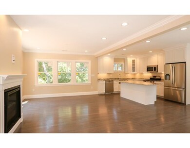 47 Alpine St unit 2, Roxbury, MA 02119 - photo 4