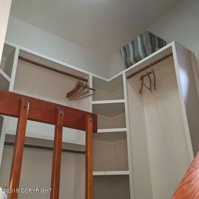 Guest Walk in Closet