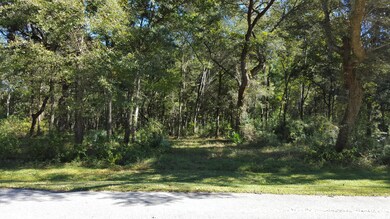 0 Old Rosebud Trail unit 15027315, Awendaw, SC 29429 - photo 2