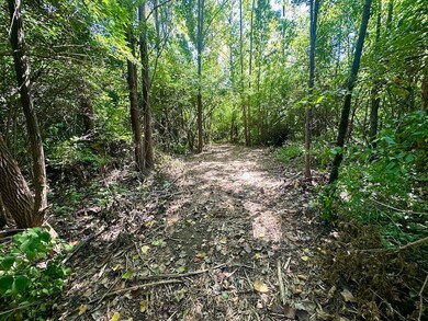 8821 Dr, Camby, IN 46113 - photo 6