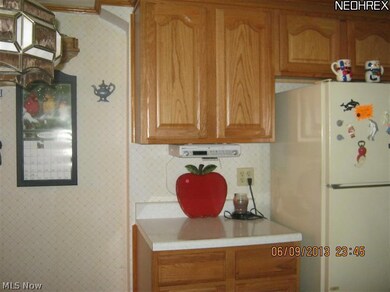 407 Vine St, Geneva, OH 44041 - photo 4