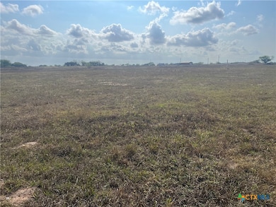 255 Salt Grass Ln, Victoria, TX 77904 - photo 5