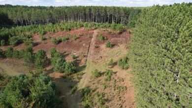 ON Forest Rd unit 1.9 ac, Tomahawk, WI 54487 - photo 3