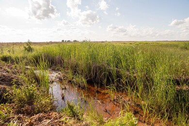 View of undeveloped land with rural landscape