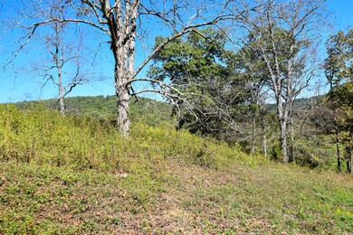 0 E Esculapis Fork Rd unit 25018893, Vanceburg, KY 41179 - photo 6