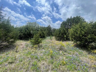 36033 Cedar Ridge Dr, Whitney, TX 76692 - photo 5