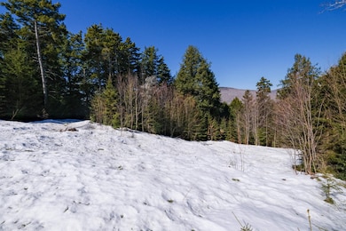 Sloping Lot