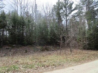 00 Blueberry Ln, Andover, NH 03216 - photo 4