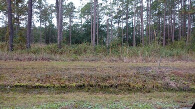 IMG_20181109_073324881