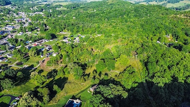 TBD Richardson St, Lebanon, VA 24266 - photo 4