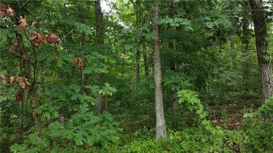 0 Ross Ln unit 1248386, Bella Vista, AR 72714 - photo 5