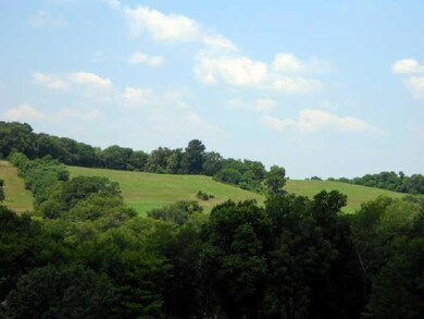 3185 Cainsville Rd, Lebanon, TN 37090 - photo 4