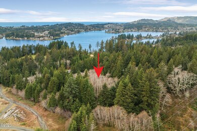 Aerial of Lot