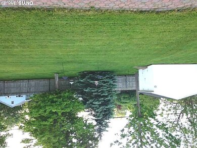 Backyard.