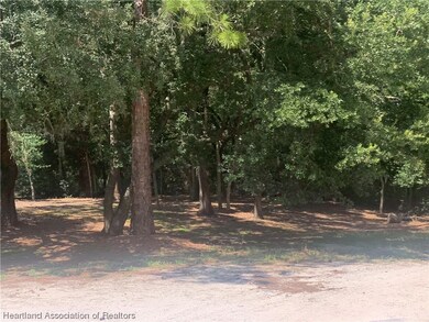 2326 W Barben Rd, Avon Park, FL 33825 - photo 5