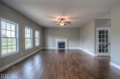 104 Dode, Downs, IL 61736 - photo 4