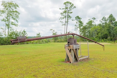 31 Conine Cir, Lakeland, GA 31635 - photo 6