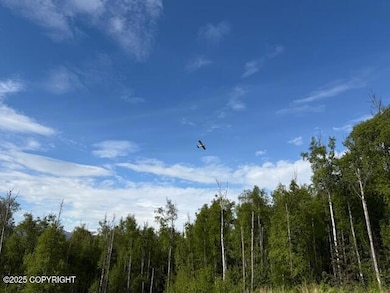 IMG_0162_1748054600949