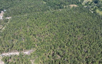 TBD 180th St, Live Oak, FL 32060 - photo 7